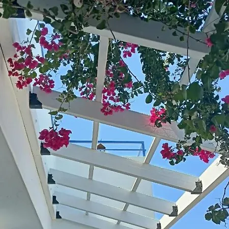 Nautilus House Aparthotel Paradisi (Rhodes)
