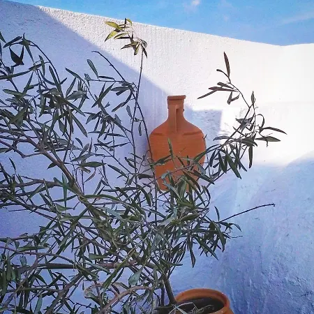 Nautilus House Appart hôtel