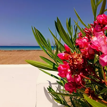 Nautilus House Paradeísion