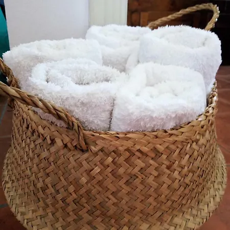 公寓式酒店 Nautilus House 帕拉代西翁