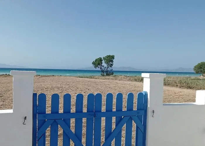 Nautilus House باراديسيون