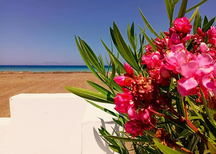 Nautilus House باراديسيون