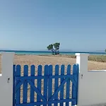 Nautilus House باراديسيون