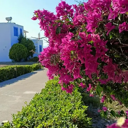 Nautilus House Aparthotel 2*