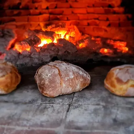 Nautilus House Aparthotel 2*