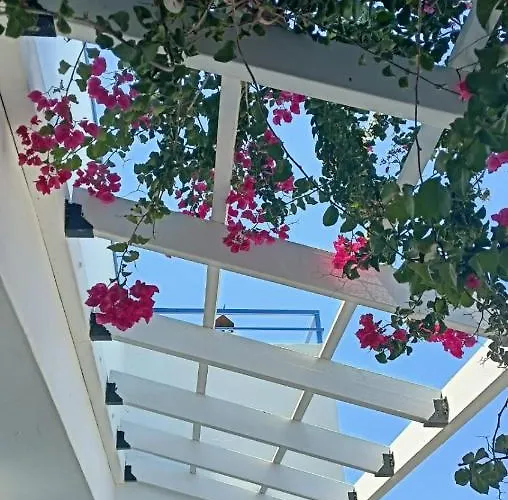 Nautilus House Apartmanhotel Paradíszi