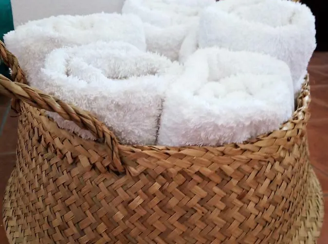 Apartmanhotel Nautilus House Paradíszi